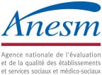 logo anesm